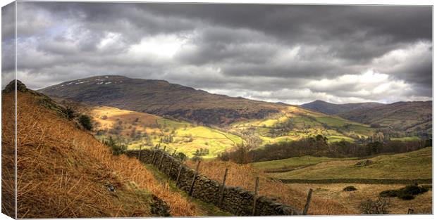 The view from Loughrigg Fell Canvas Print by Tom Gomez