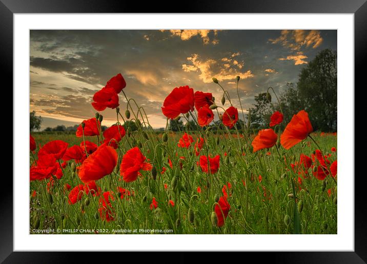 Poppies and a sunset 812  Framed Mounted Print by PHILIP CHALK