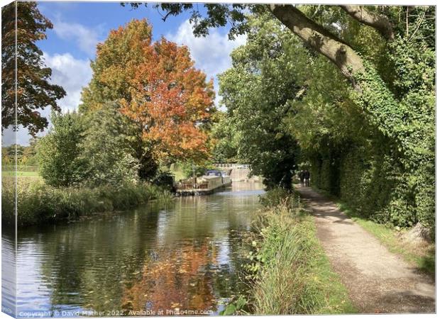 Autumn comes to the Ripon Canal Canvas Print by David Mather