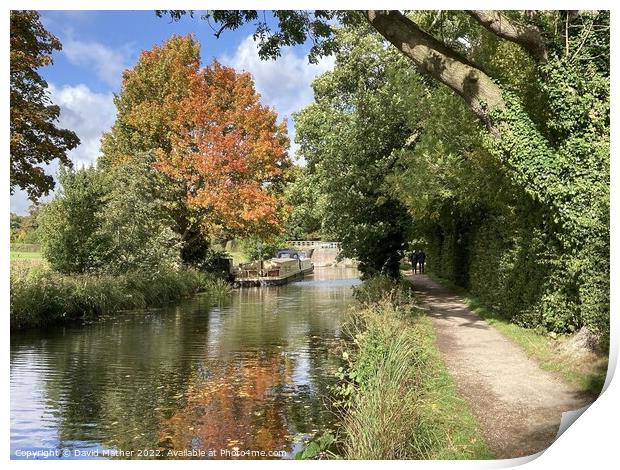 Autumn comes to the Ripon Canal Print by David Mather