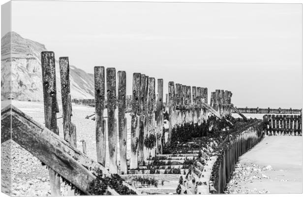 West Runton revetment in black and white Canvas Print by Jason Wells