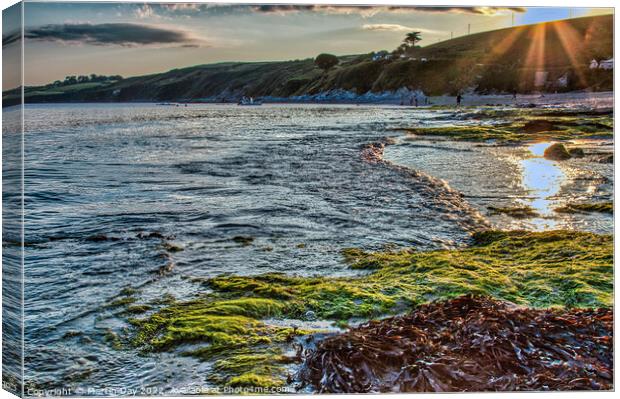Majestic Summer Sunset at Pendower Beach Canvas Print by Martin Day