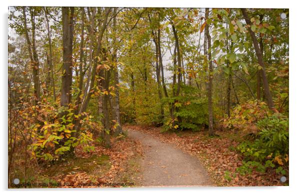 Path through Chestnut grove Acrylic by Sally Wallis