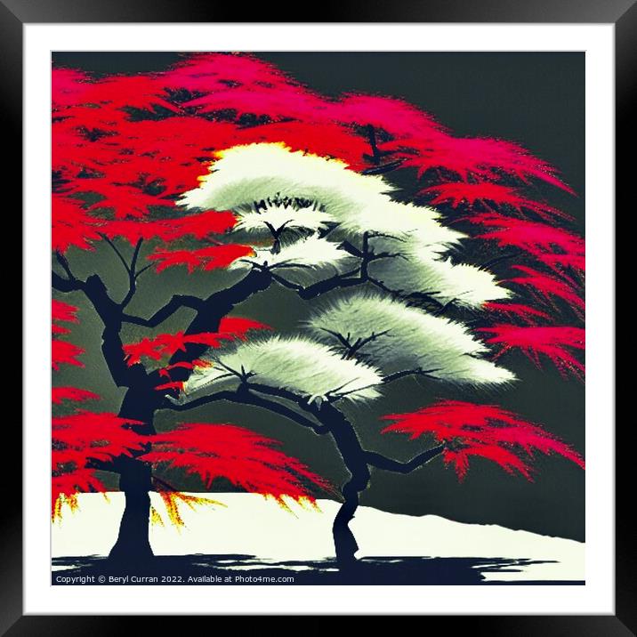 Fiery Red Japanese Maple Framed Mounted Print by Beryl Curran
