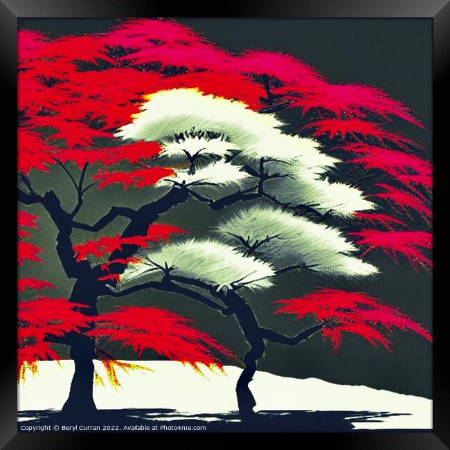 Fiery Red Japanese Maple Framed Print by Beryl Curran