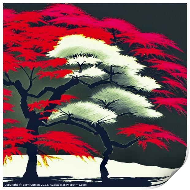 Fiery Red Japanese Maple Print by Beryl Curran