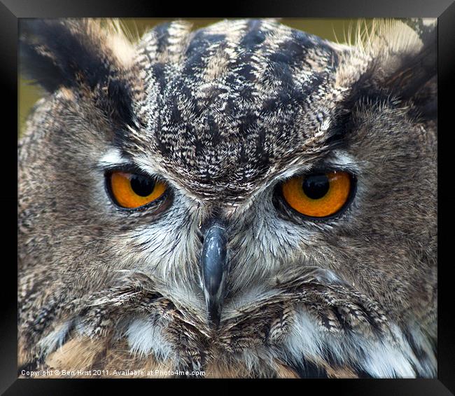 Eurasian Eagle Owl Framed Print by Ben Hirst