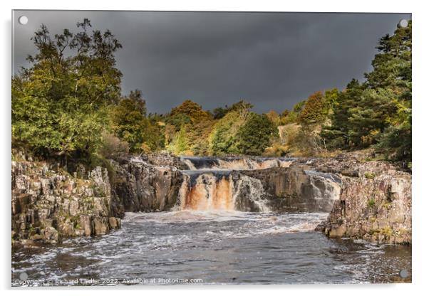 Autumn Bright Interval at Low Force Waterfall, Teesdale Acrylic by Richard Laidler