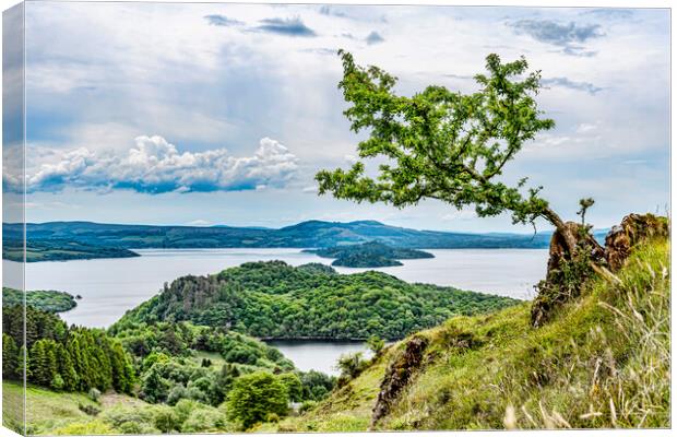 Conic Hill View Canvas Print by Valerie Paterson