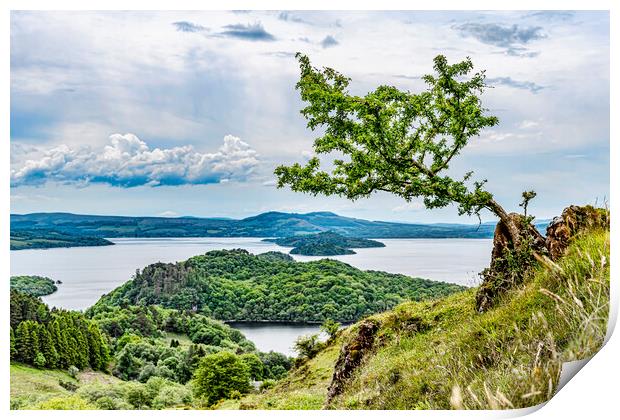 Conic Hill View Print by Valerie Paterson