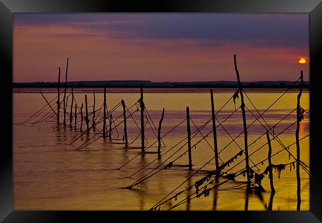 Fishing Nets at Sunset Framed Print by Derek Beattie