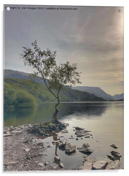 lonely tree on the shore of Llyn Padarn, Snowdonia Acrylic by  Ven Images