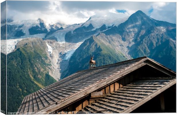 Alpine ibex, capra, resting bucolic on the roofs of alpine huts, Canvas Print by Joaquin Corbalan
