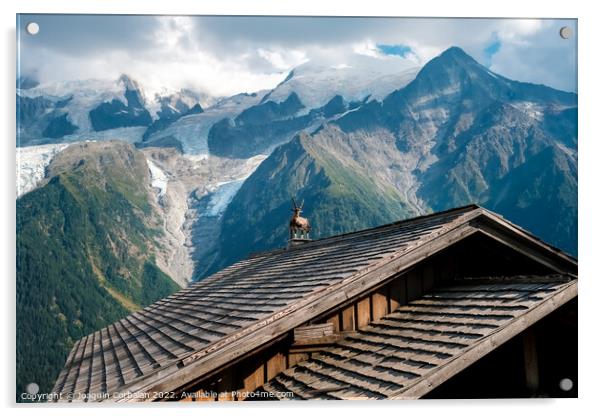 Alpine ibex, capra, resting bucolic on the roofs of alpine huts, Acrylic by Joaquin Corbalan