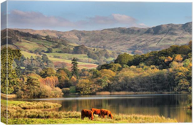 Autumn in the Lake District. Canvas Print by Irene Burdell