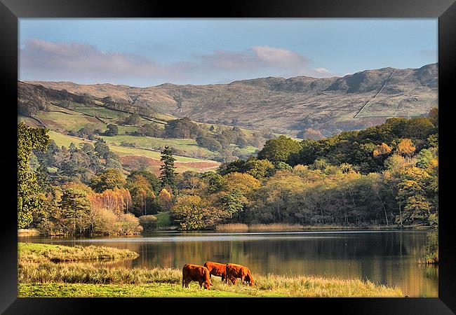Autumn in the Lake District. Framed Print by Irene Burdell
