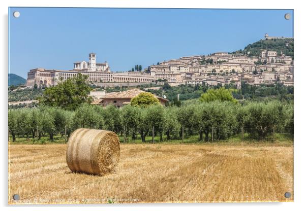 Hay roll overlooked by the Basilica di San Francesco D'Assisi, U Acrylic by Kevin Hellon