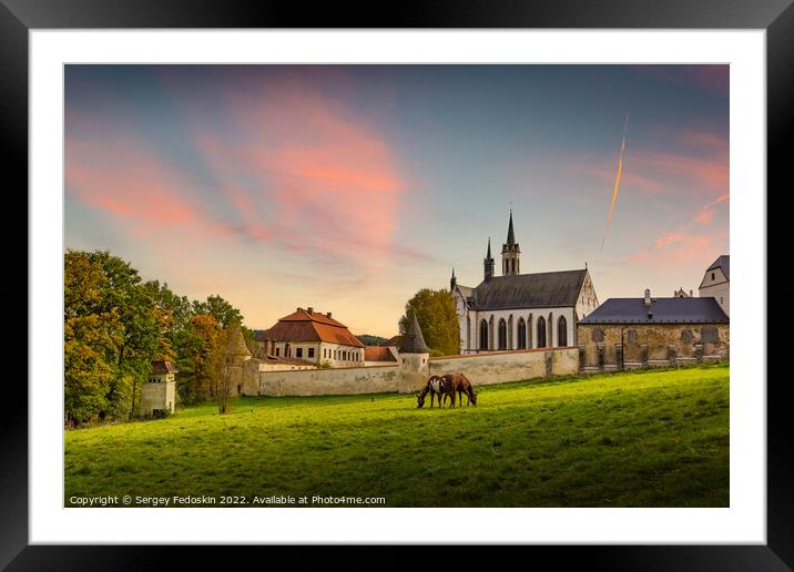 Cistercian monastery Vyssi Brod and grazing horses. Czech Republic. Framed Mounted Print by Sergey Fedoskin