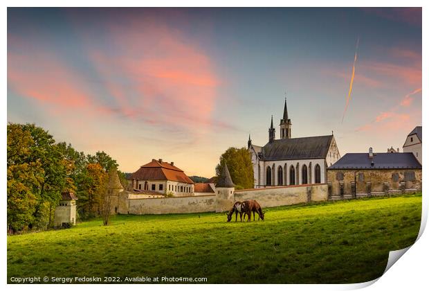 Cistercian monastery Vyssi Brod and grazing horses. Czech Republic. Print by Sergey Fedoskin