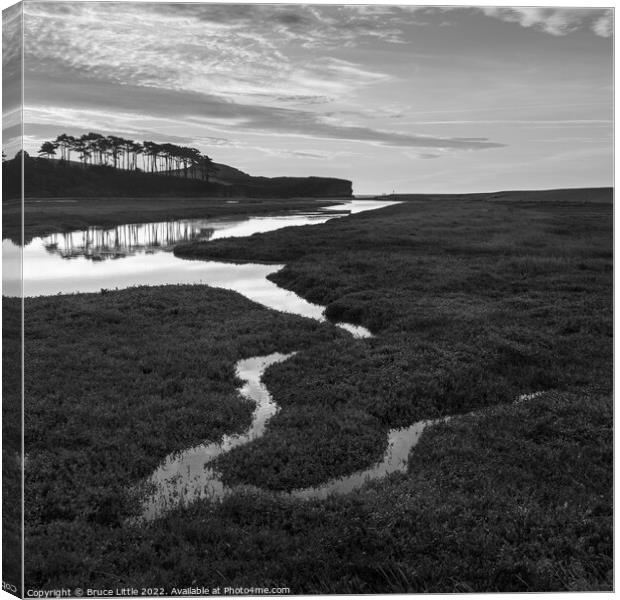 Budleigh Salterton Trees in Mono Canvas Print by Bruce Little