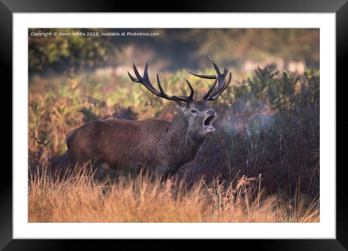 Morning breath Framed Mounted Print by Kevin White