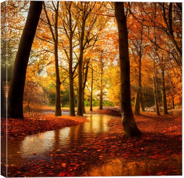 The Red Leaves of Autumn Canvas Print by Adam Kelly