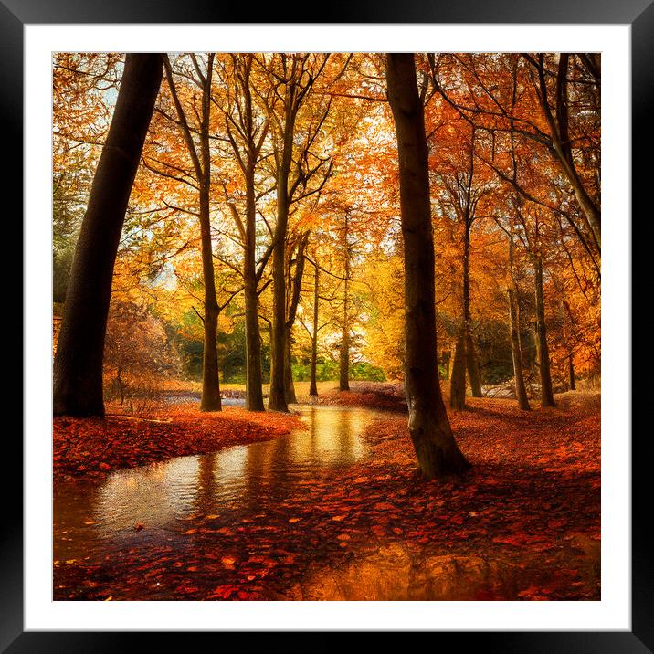 The Red Leaves of Autumn Framed Mounted Print by Adam Kelly