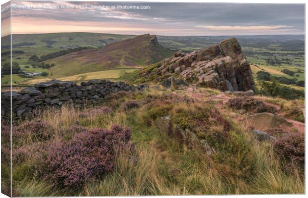 Heather blooms at Roaches Canvas Print by Steven Nokes
