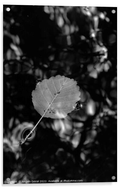 Single Leaf Floating on Pond in Monochrome Acrylic by Angelo DeVal