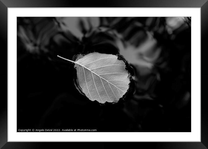 Relaxing Leaf on Pond in Monochrome Framed Mounted Print by Angelo DeVal