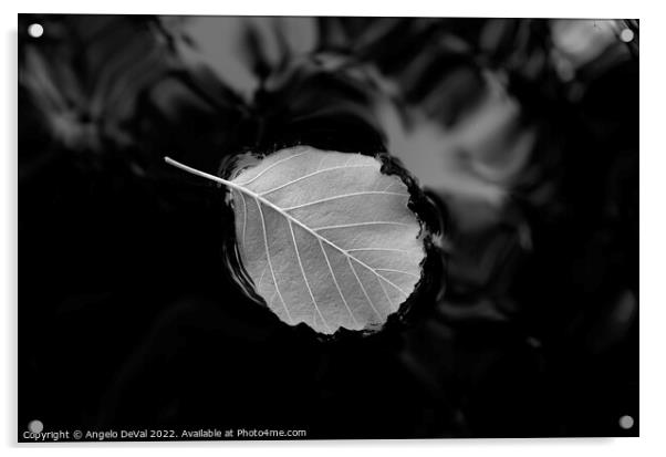 Relaxing Leaf on Pond in Monochrome Acrylic by Angelo DeVal
