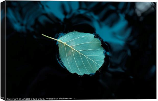 Relaxing Leaf on Pond Canvas Print by Angelo DeVal