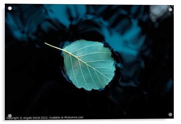 Relaxing Leaf on Pond Acrylic by Angelo DeVal