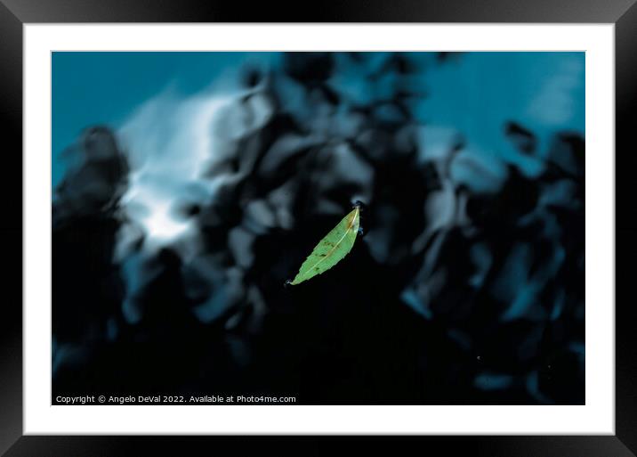 Leaf on Dark Pond Framed Mounted Print by Angelo DeVal