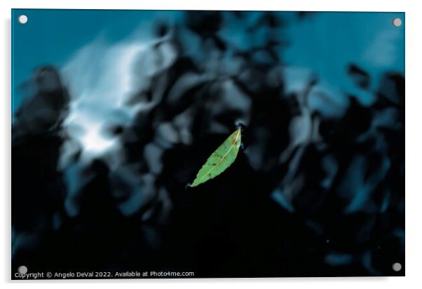 Leaf on Dark Pond Acrylic by Angelo DeVal