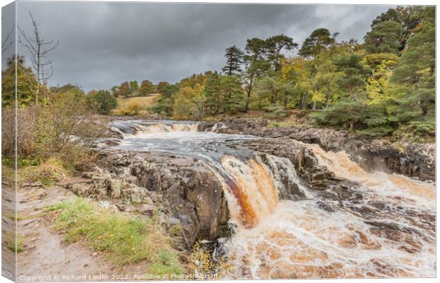 Autumn Brighness at Low Force Waterfall, Teesdale Canvas Print by Richard Laidler