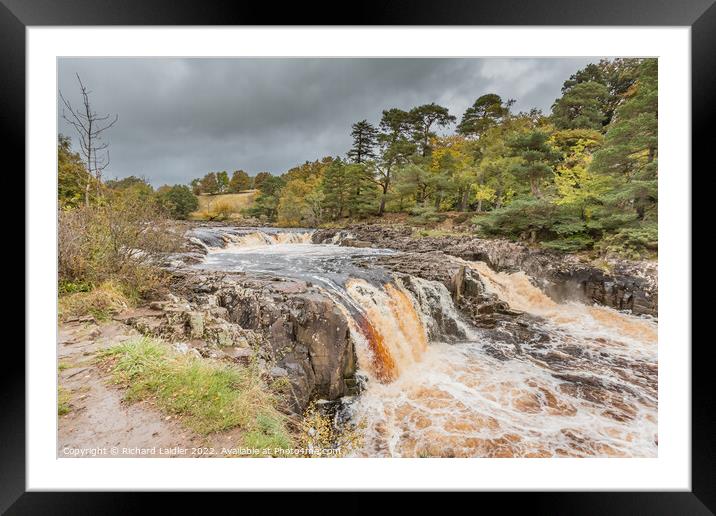 Autumn Brighness at Low Force Waterfall, Teesdale Framed Mounted Print by Richard Laidler