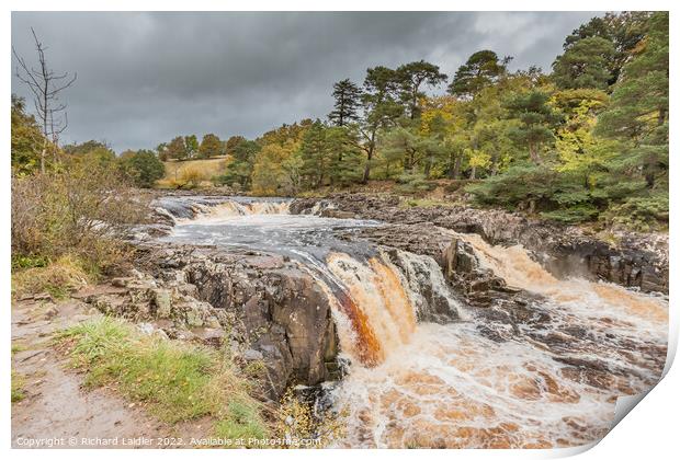 Autumn Brighness at Low Force Waterfall, Teesdale Print by Richard Laidler