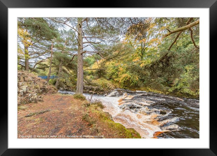 Autumn Brighness at Wynch Bridge, Teesdale Framed Mounted Print by Richard Laidler