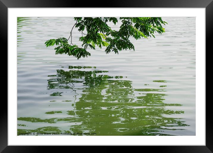 Green tree on the water Framed Mounted Print by Simo Wave