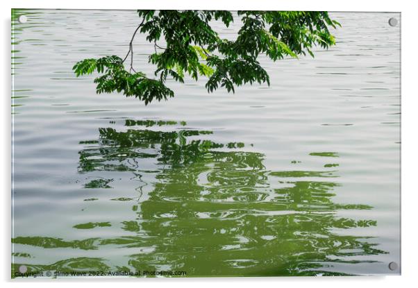 Green tree on the water Acrylic by Simo Wave