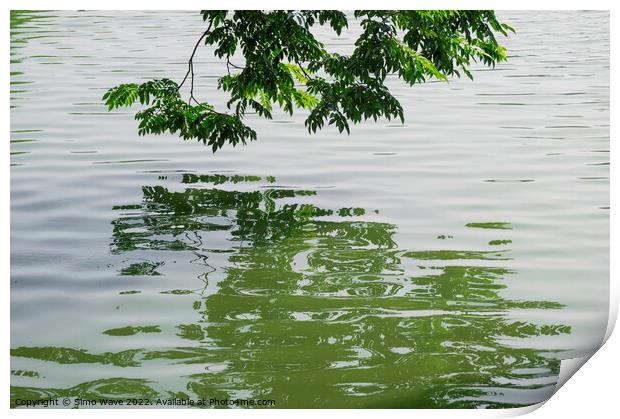 Green tree on the water Print by Simo Wave