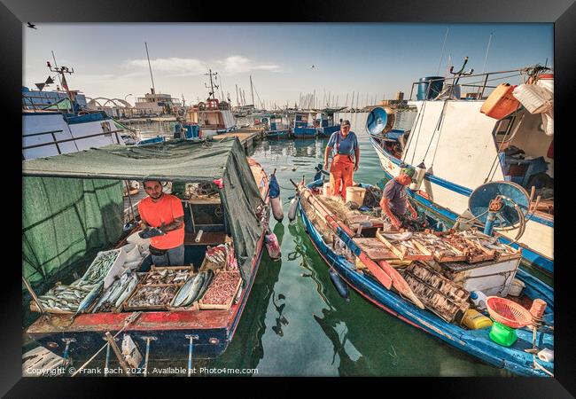 Local fishermen selling their fish in Trapani on Sicily Framed Print by Frank Bach