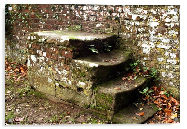 Stone steps Acrylic by Sally Wallis