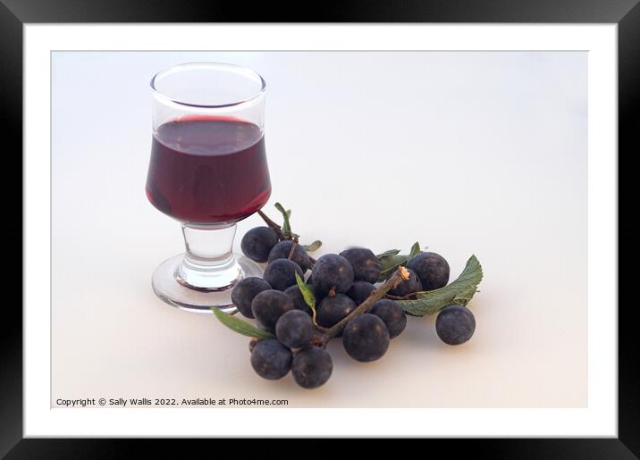 A glass of mature sloe gin  Framed Mounted Print by Sally Wallis
