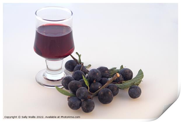 A glass of mature sloe gin  Print by Sally Wallis