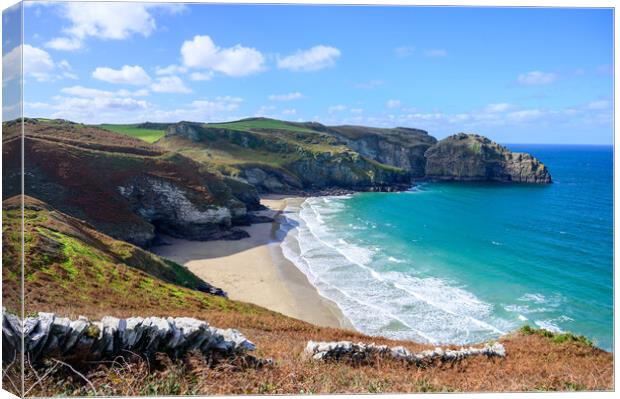 Benoath Cove and Bossiney Haven in Cornwall Canvas Print by Tracey Turner