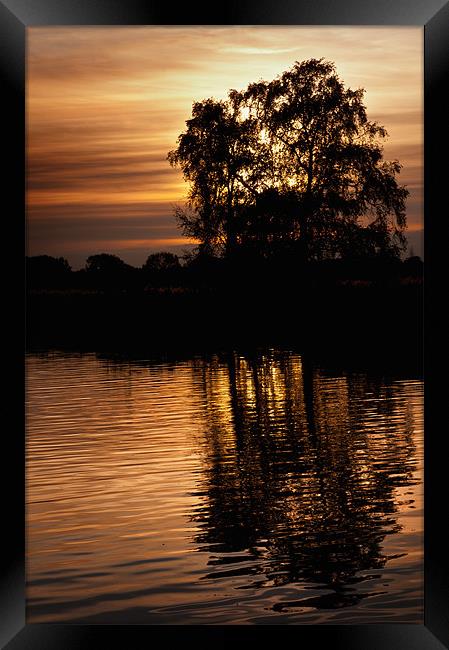 Sunset on the River Ant Framed Print by Stephen Mole