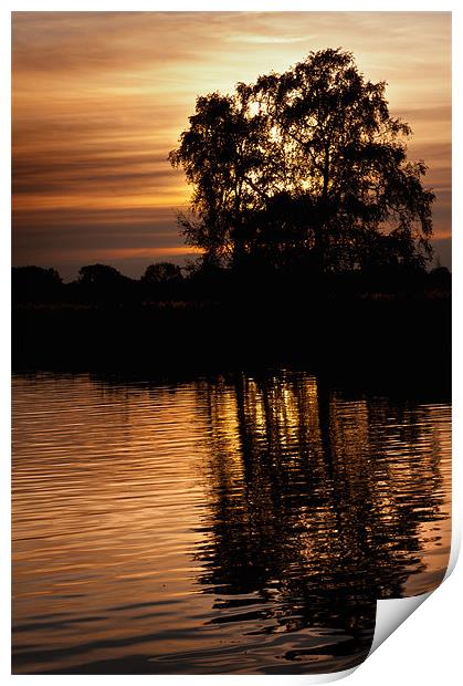 Sunset on the River Ant Print by Stephen Mole
