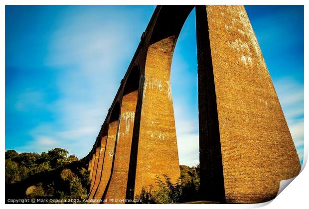 Larpool Viaduct At Whitby Print by Mark Dobson